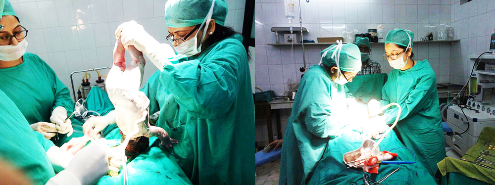 Gynecologist in East Delhi | Gynecologist in Shalimar Bagh  | IVF SPECIALIST IN EAST DELHI.