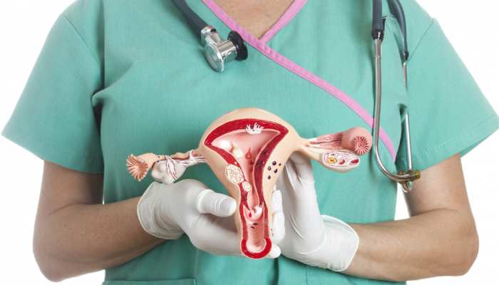 Gynecologist in East Delhi | Gynecologist in Shalimar Bagh  | IVF SPECIALIST IN EAST DELHI.